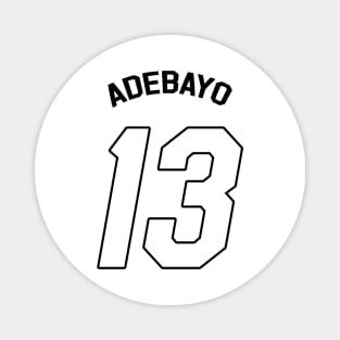 Bam Adebayo Magnet